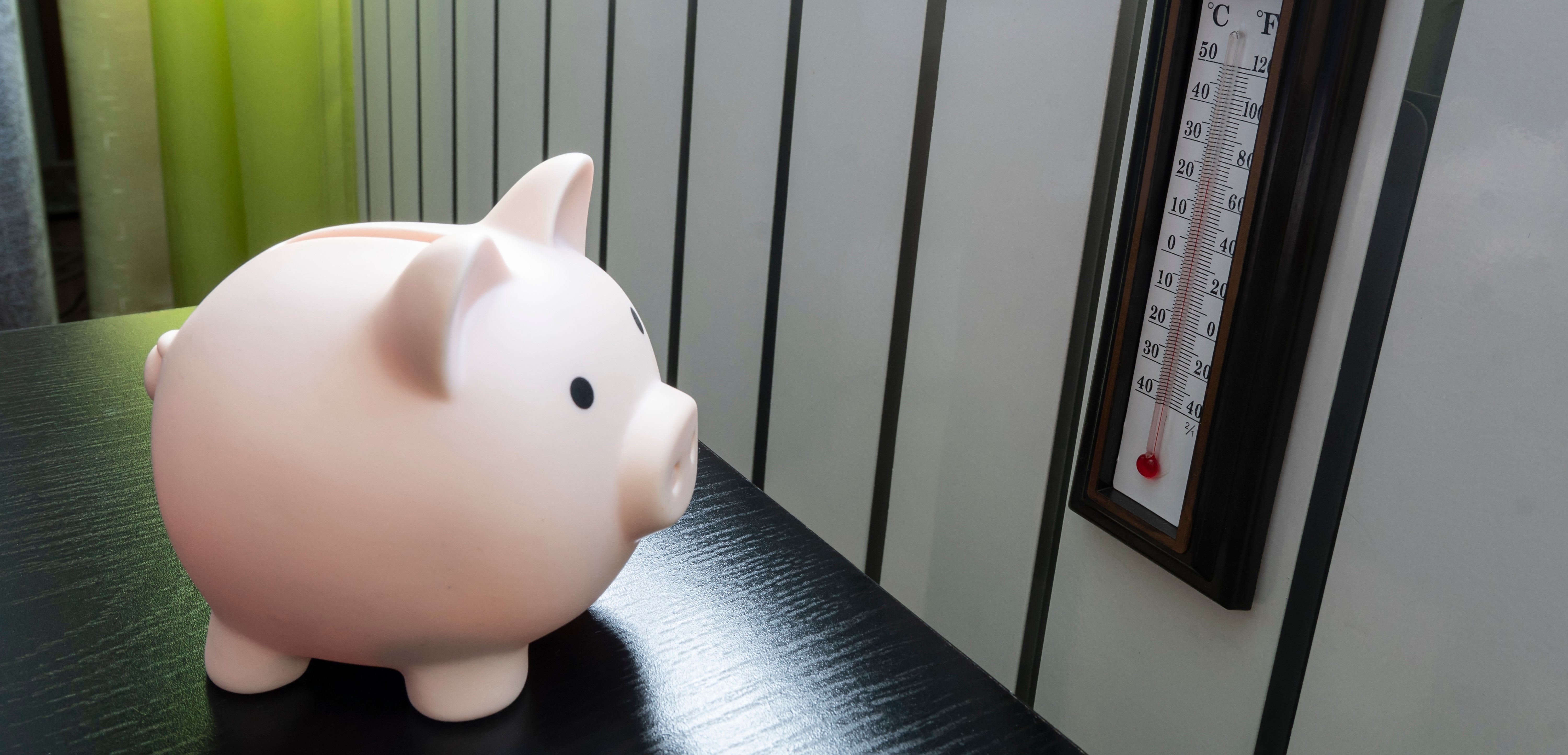 INSULATE YOURSELF FROM RISING COSTS